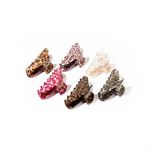 CAIMAN LEOPARDO ENGOL